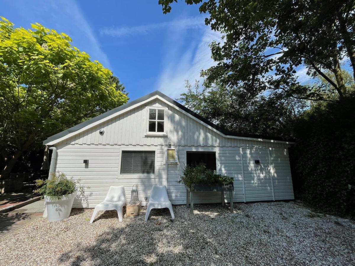 Duinstudio Bergen Exteriör bild