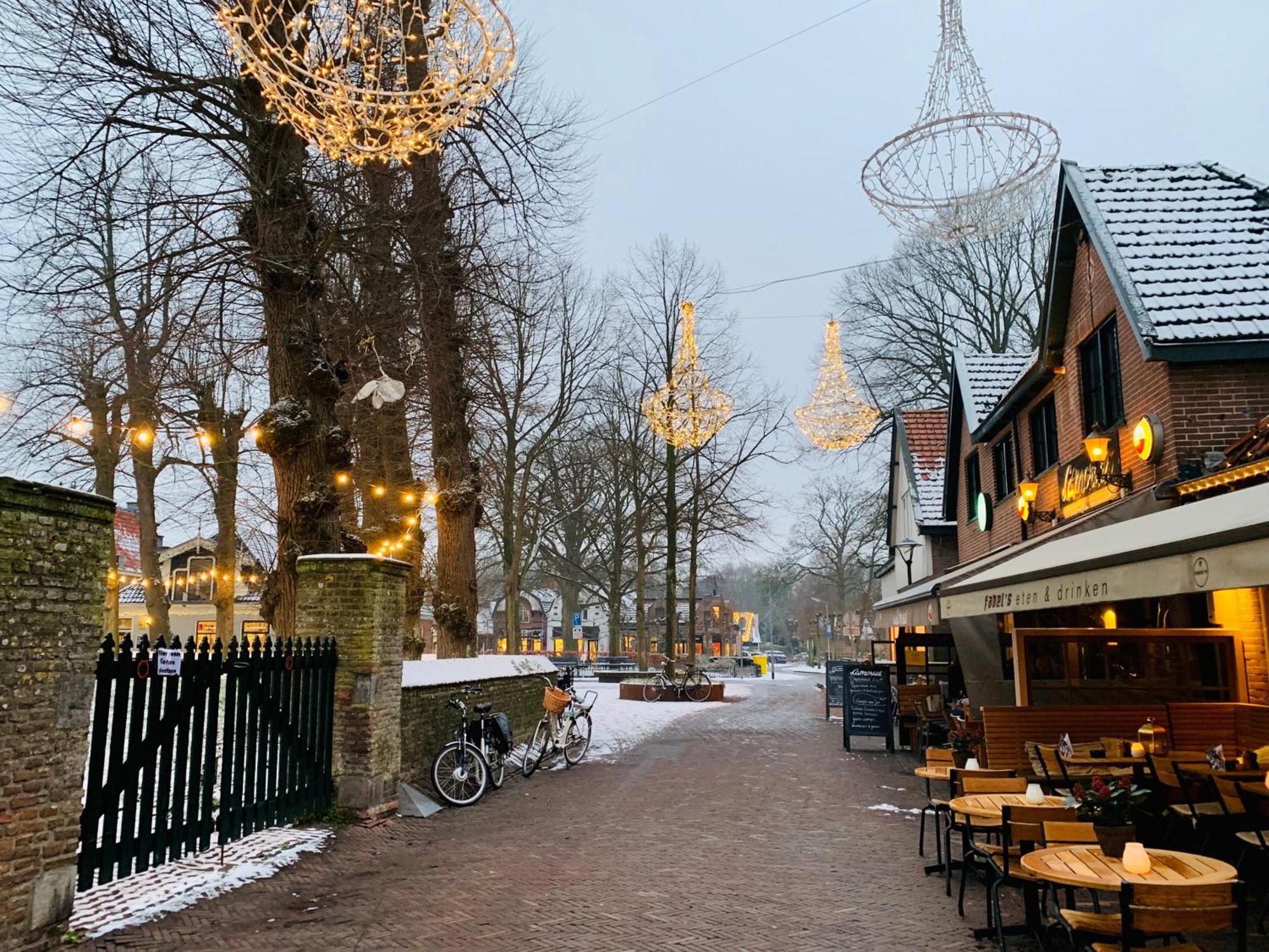 Duinstudio Bergen Exteriör bild