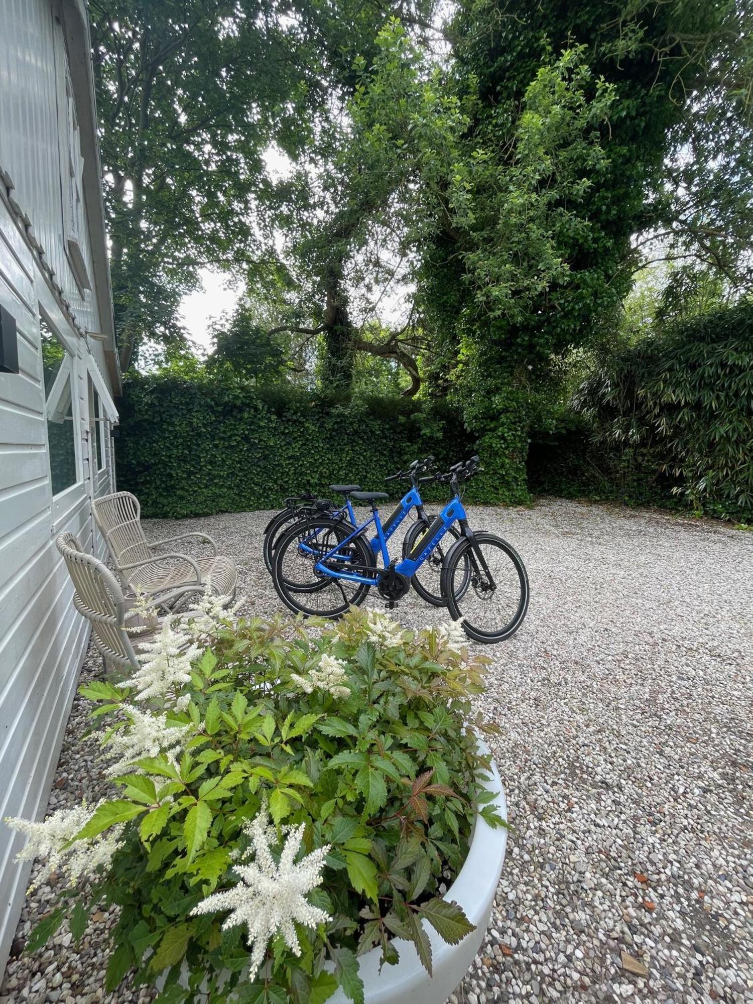 Duinstudio Bergen Exteriör bild