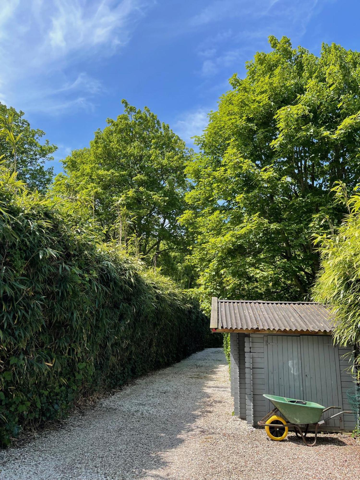 Duinstudio Bergen Exteriör bild